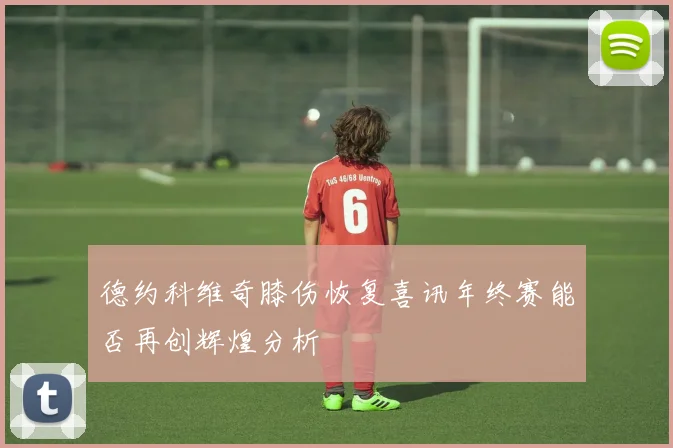 德约科维奇膝伤恢复喜讯年终赛能否再创辉煌分析