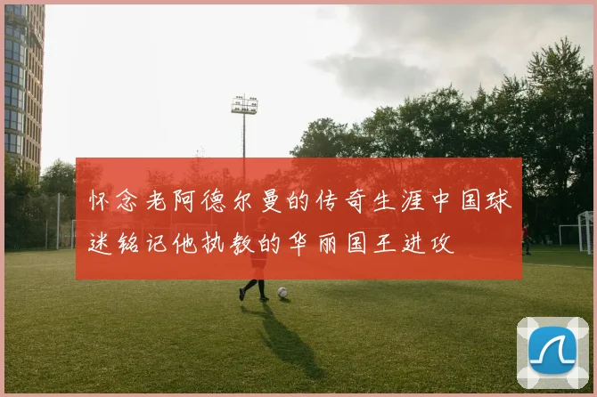 怀念老阿德尔曼的传奇生涯中国球迷铭记他执教的华丽国王进攻